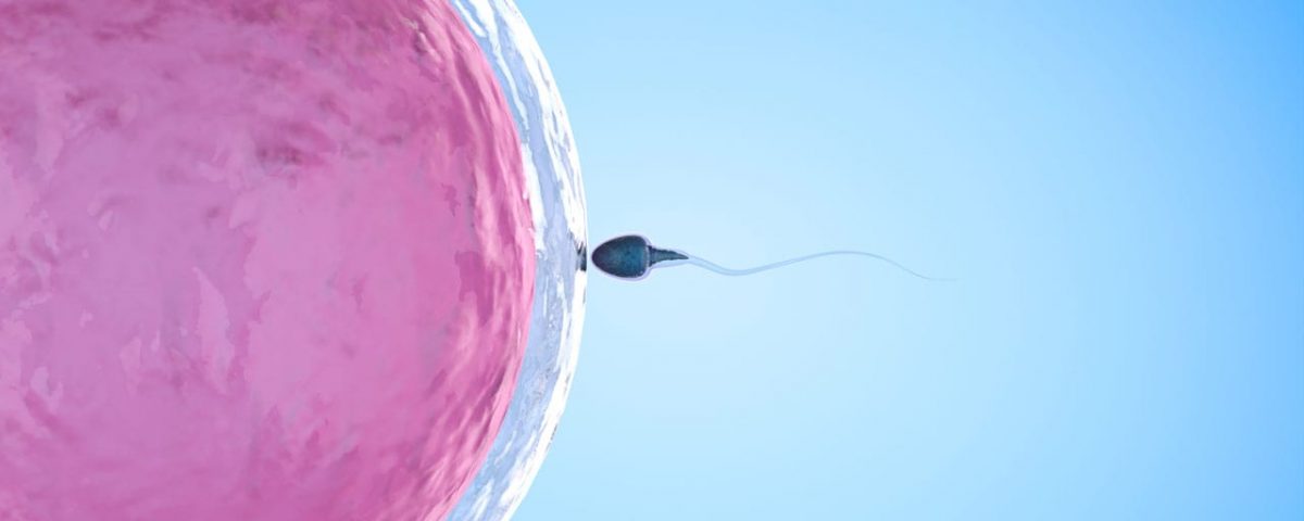 tup bebek tedavisinde alinan sperm nasil kullanilir